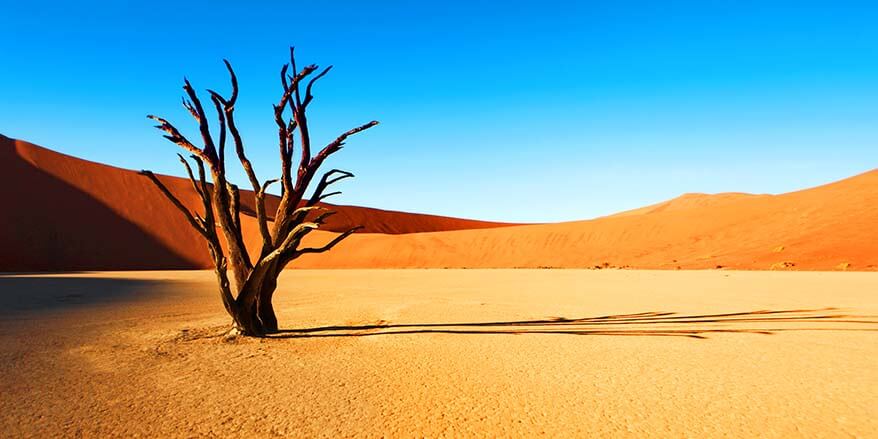 13 lugares fascinantes para visitar en Namibia (las mejores cosas que hacer)