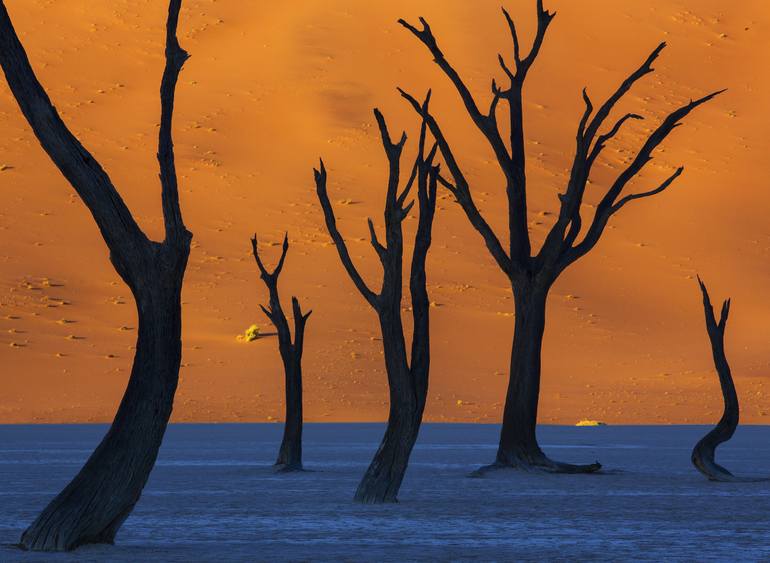 Mis 10 fotos favoritas de Namibia