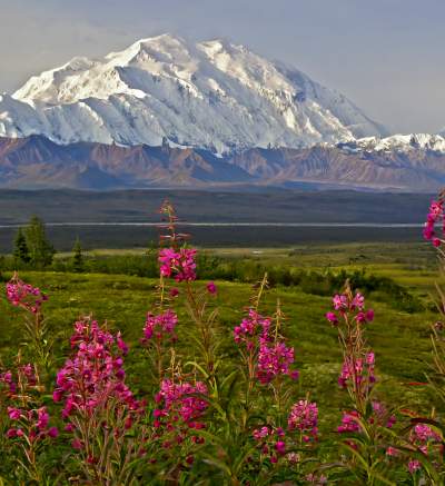 Las 10 mejores cosas para hacer en Alaska