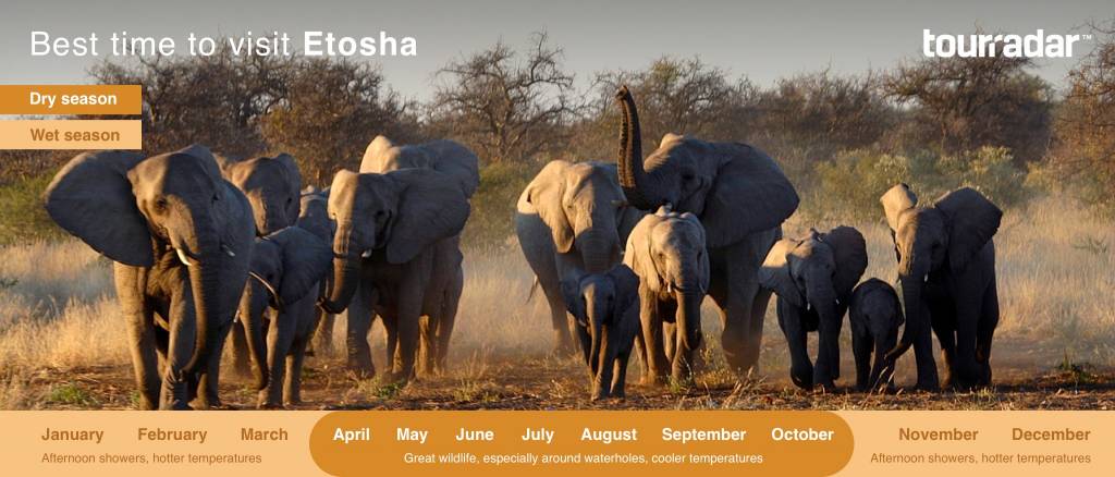 Los mejores lugares para alojarse en el Parque Nacional Etosha y cerca