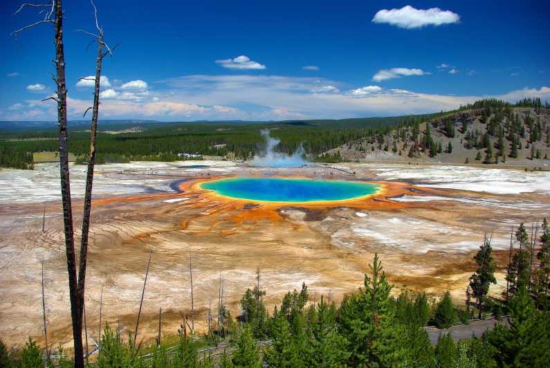11 Beste Yellowstone -Touren und geführte Ausflüge für 2023 (+ Info & Tipps)