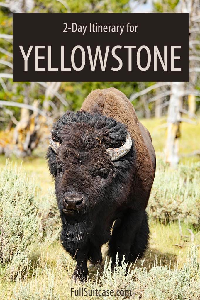 2 días en Yellowstone itinerario detallado, mapa, visitas imprescindibles y consejos